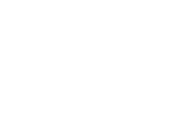 SILK-IN logo, white